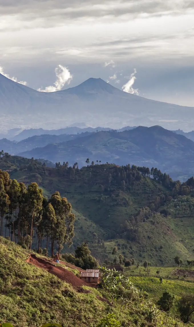 Volcanic peaks rising above forested valleys and terraced farmland, Rwanda