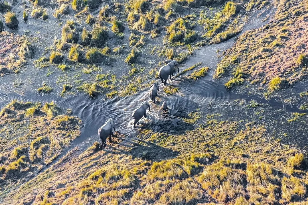 Okavango Delta’s 2025 Flood