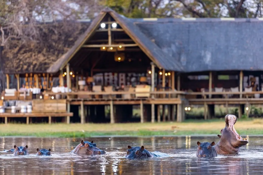 Sable Alley camp looking out over Okavango floodwater