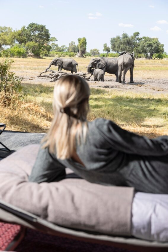 Guests watching wildlife from camp chairs at the water&rsquo;s edge