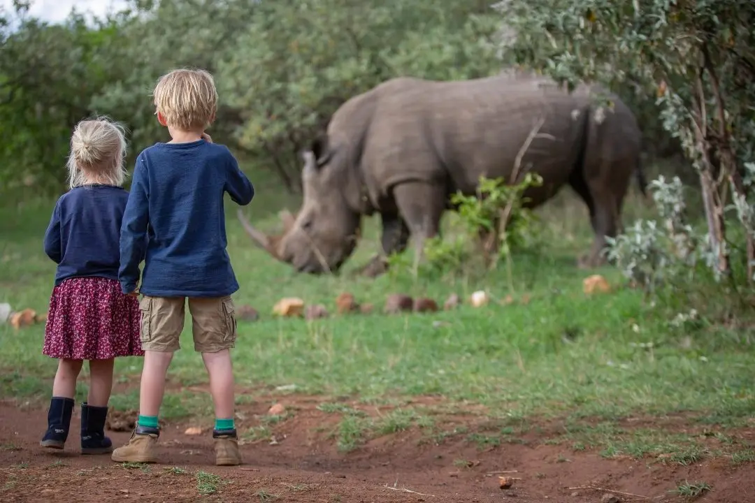 Where to see rhino in Africa