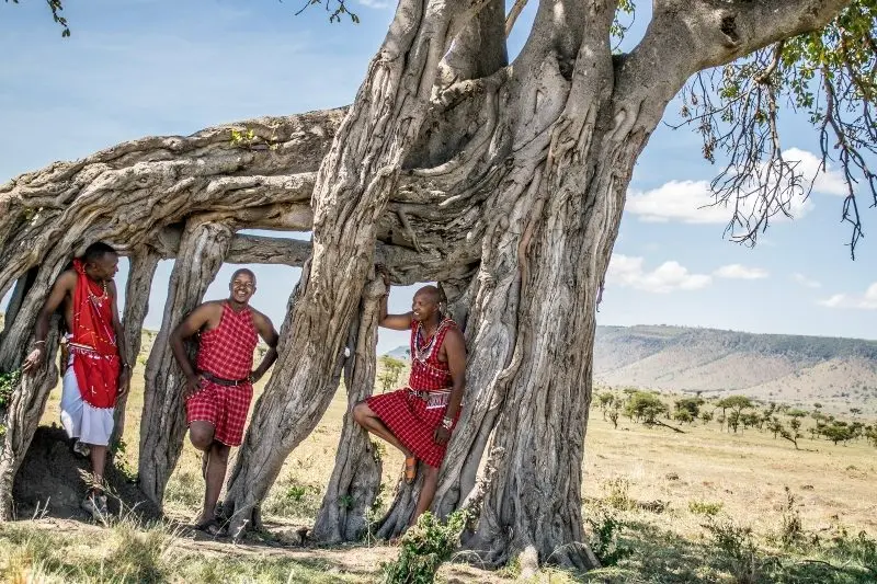 Three Maasai men standing beneath a great fig tree above the Laikipia plains