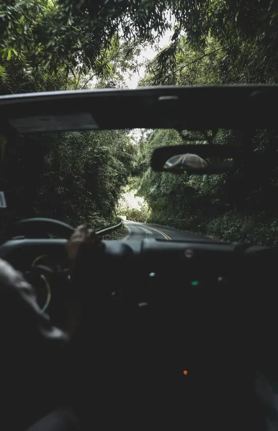 two passengers riding in open-top vehicle through dense jungle road