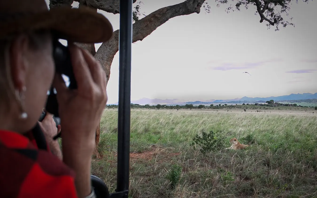 Guest photographing savanna landscape from vehicle during safari, Apoka Safari Lodge, Kidepo Valley, Uganda