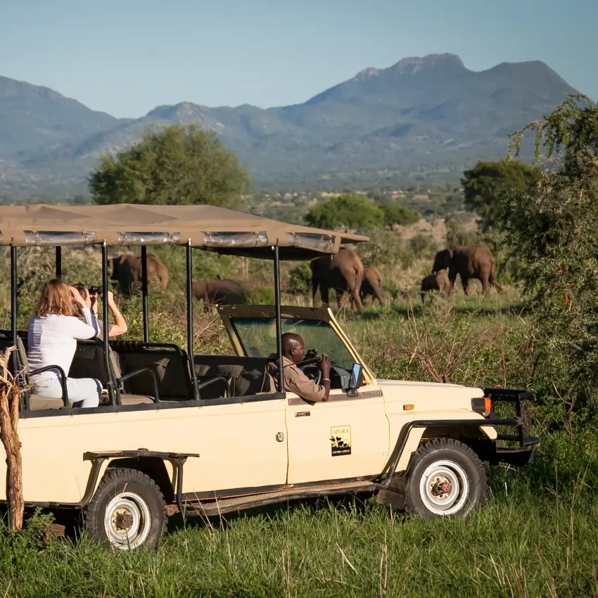 Safari vehicle with guests viewing elephants in natural landscape, Apoka Safari Lodge, Kidepo Valley, Uganda