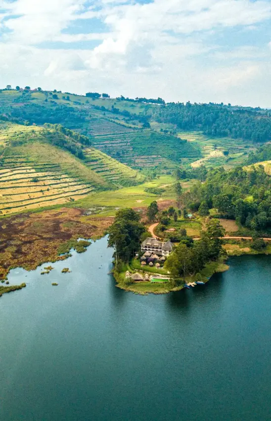 Terraced hillsides and lake with surrounding forest landscape, Birdnest at Bunyonyi Resort, Lake Bunyonyi, Uganda