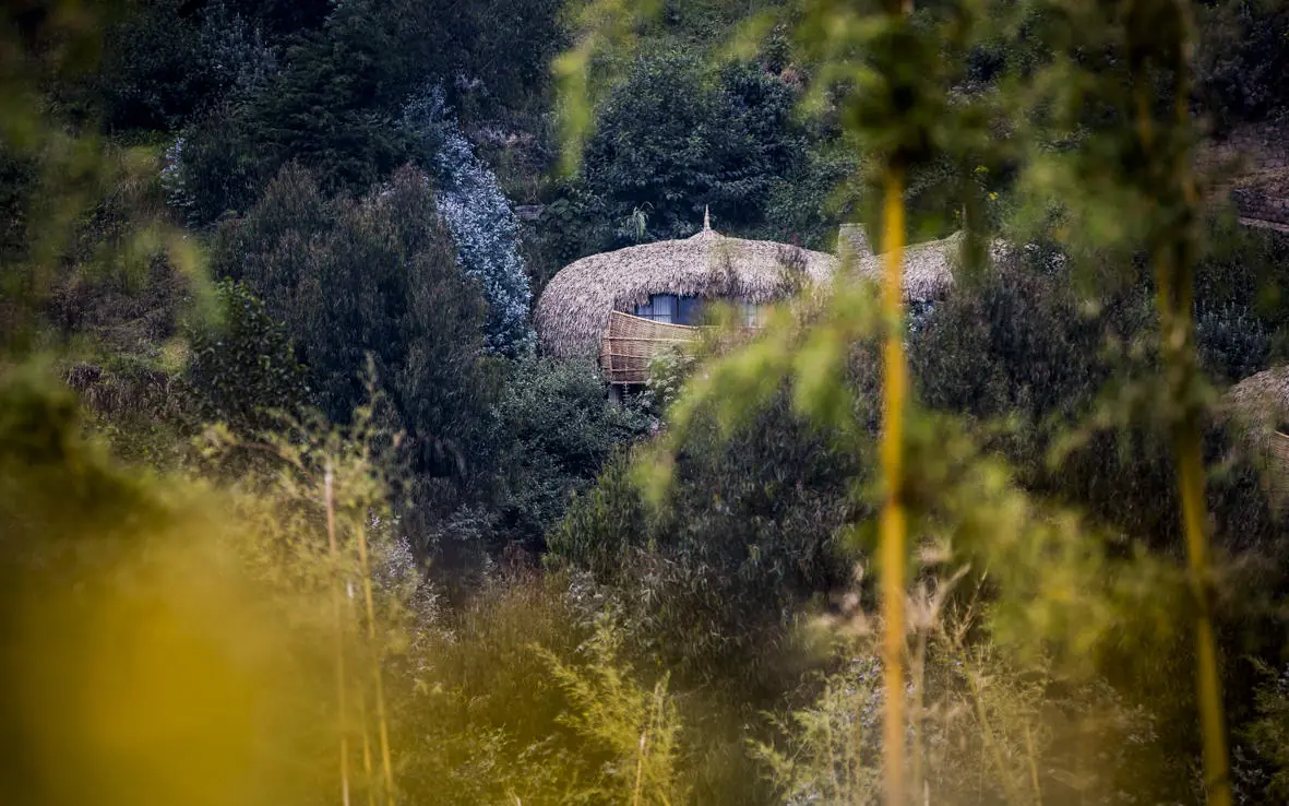 Distinctive circular lodge building nestled within dense forest, Bisate Lodge, Volcanoes National Park, Rwanda