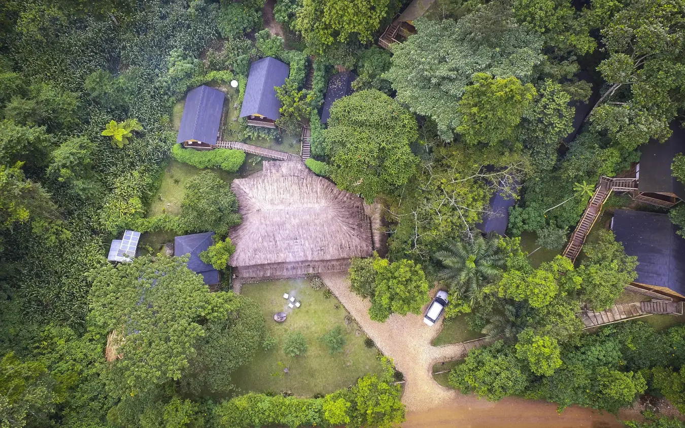 Aerial view of lodge nestled among dense green forest, Buhoma Lodge, Bwindi Impenetrable Forest, Uganda