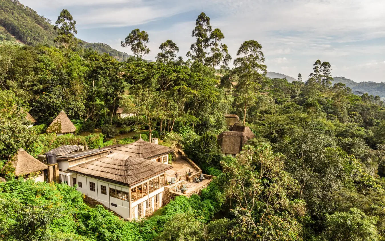 Lodge nestled among dense forest canopy with mountain backdrop, Bwindi Lodge, Bwindi Impenetrable Forest, Uganda