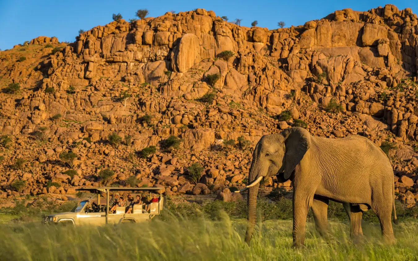 Elephant crossing savanna with safari vehicle and rocky hills, Camp Kipwe, Damaraland, Namibia