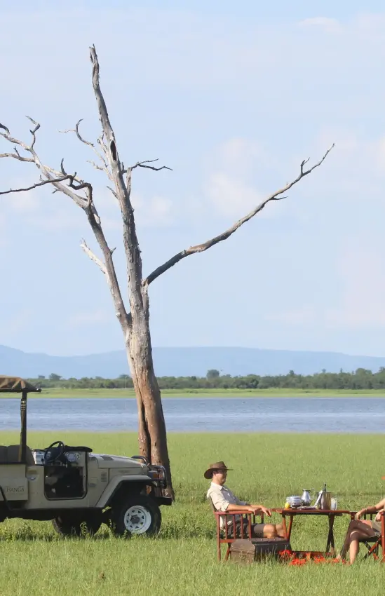 Safari guests enjoying beverages under dead tree by river, Changa Safari Camp, Matusadona National Park, Zimbabwe