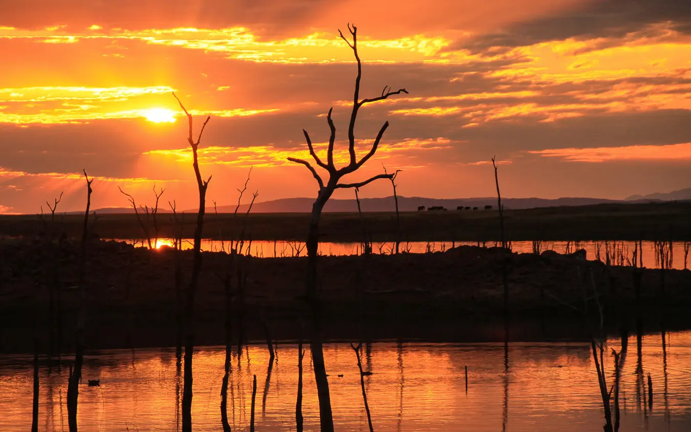 Sunset over wetland with silhouetted dead trees reflected, Changa Safari Camp, Matusadona National Park, Zimbabwe