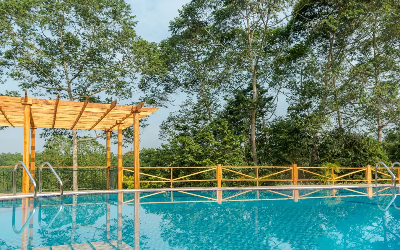 Swimming pool with yellow pergola and forest backdrop, Chimpundu Lodge, Kibale Forest, Uganda