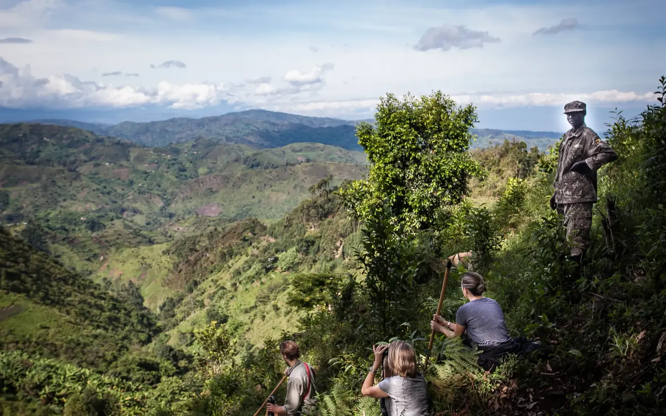Hikers trekking through lush forested mountainous terrain, Clouds Mountain Gorilla Lodge, Bwindi Impenetrable Forest, Uganda
