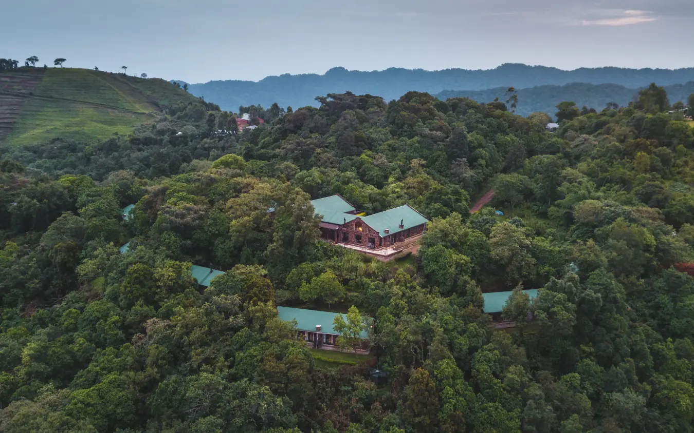 Mountain lodge nestled among forested hills with green roofs, Clouds Mountain Gorilla Lodge, Bwindi Impenetrable Forest, Uganda