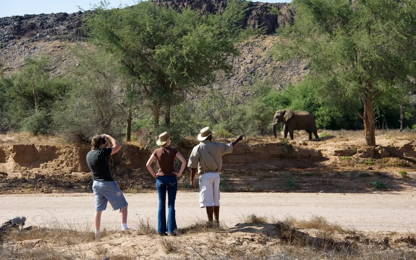 Guests observe elephant from safe distance in landscape, Damaraland Camp, Damaraland, Namibia