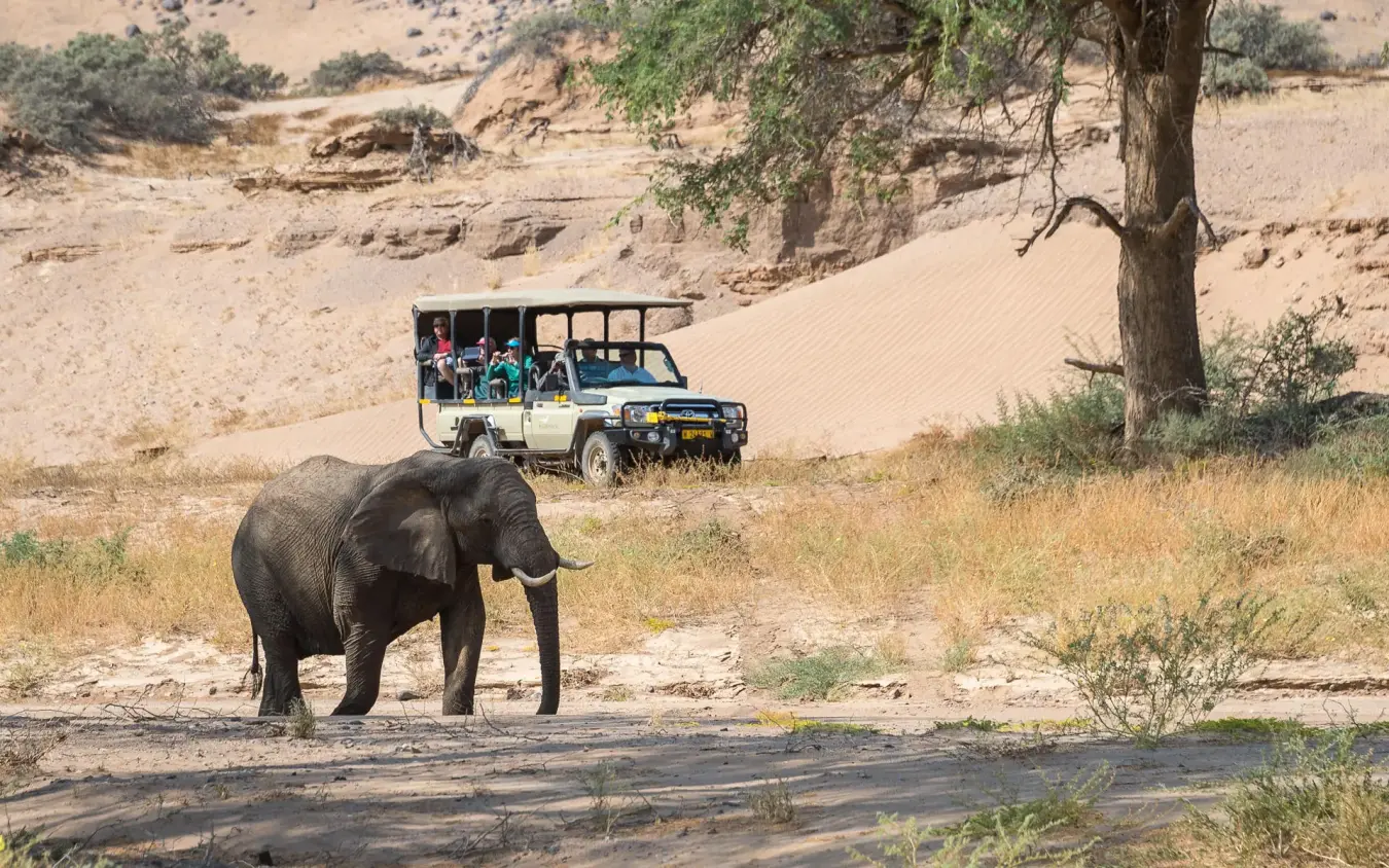 Safari vehicle with passengers observing elephant at waterhole, Damaraland Camp, Damaraland, Namibia
