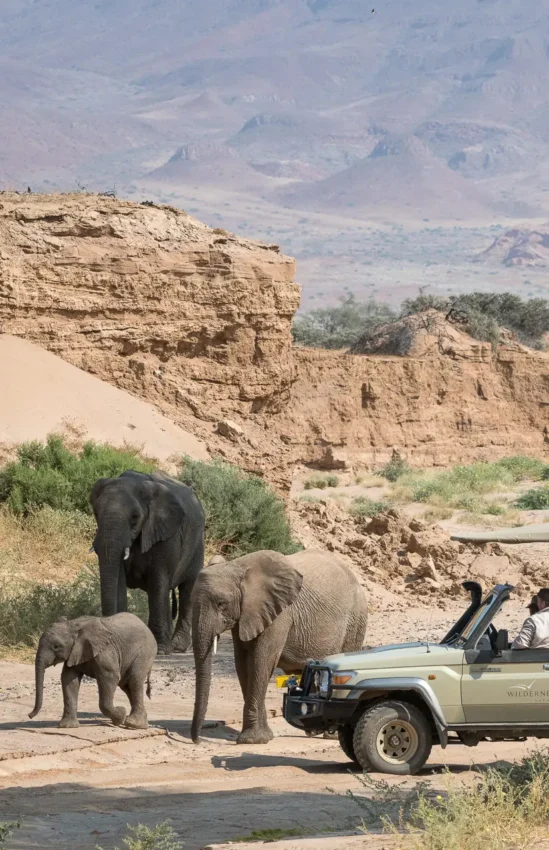Safari vehicle with guests observing elephants at waterhole, Damaraland Camp, Damaraland, Namibia