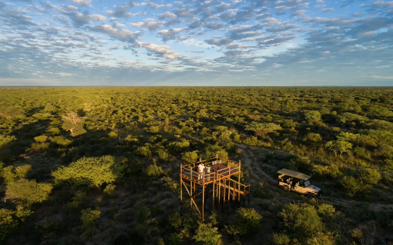Elevated wooden platform overlooking vast African bushland landscape, Dinaka, Central Kalahari, Botswana