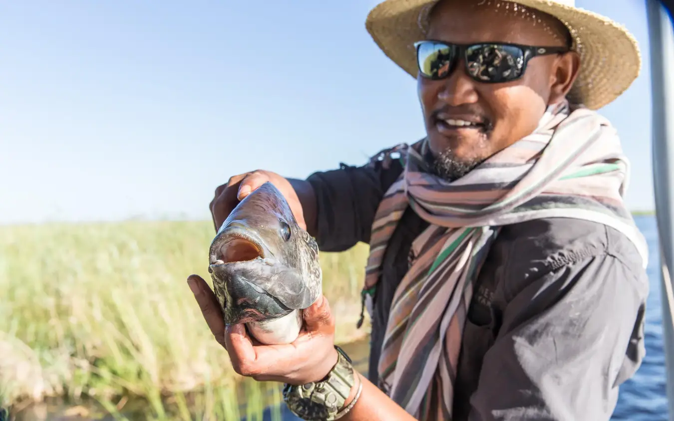 Guide holding freshly caught fish during water activity, DumaTau, Linyanti Wildlife Reserve, Botswana