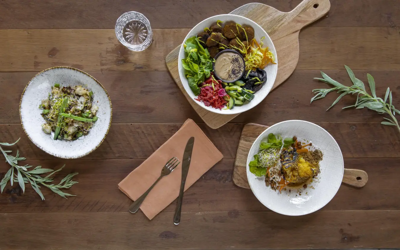 Overhead view of plated dishes with fresh vegetables and herbs, DumaTau, Linyanti Wildlife Reserve, Botswana