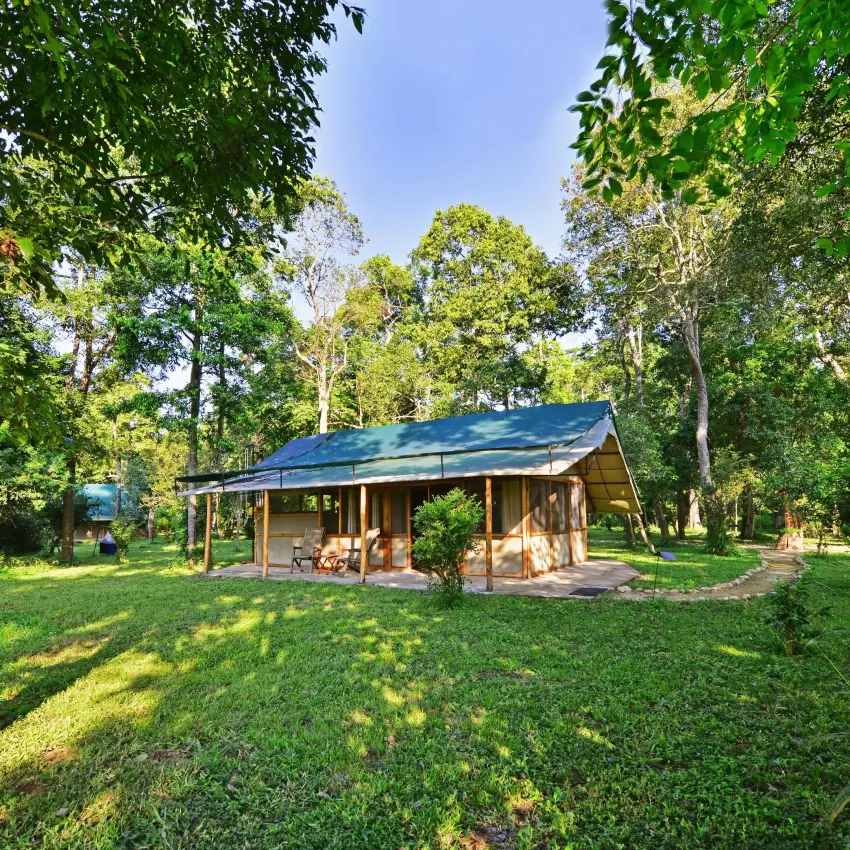 Wooden lodge building with blue roof surrounded by trees, Ishasha Wilderness Camp, Queen Elizabeth NP, Uganda