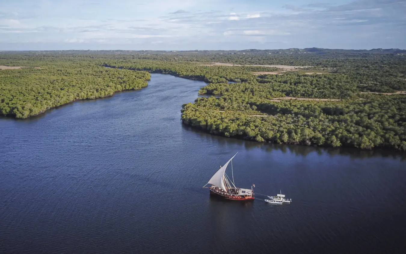 Traditional sailing dhow on river surrounded by green forest, Tusitiri Dhow, Lamu Archipelago, Kenya