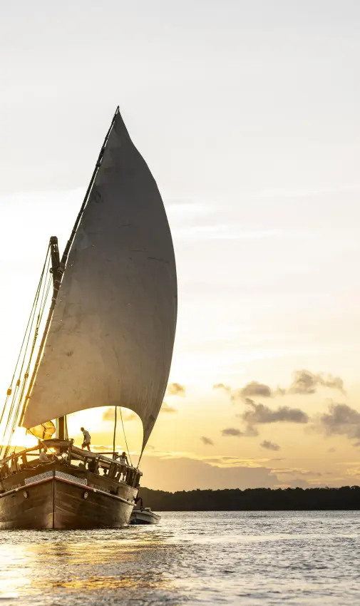 Traditional wooden dhow with sail on calm water at sunset, Tusitiri Dhow, Lamu Archipelago, Kenya