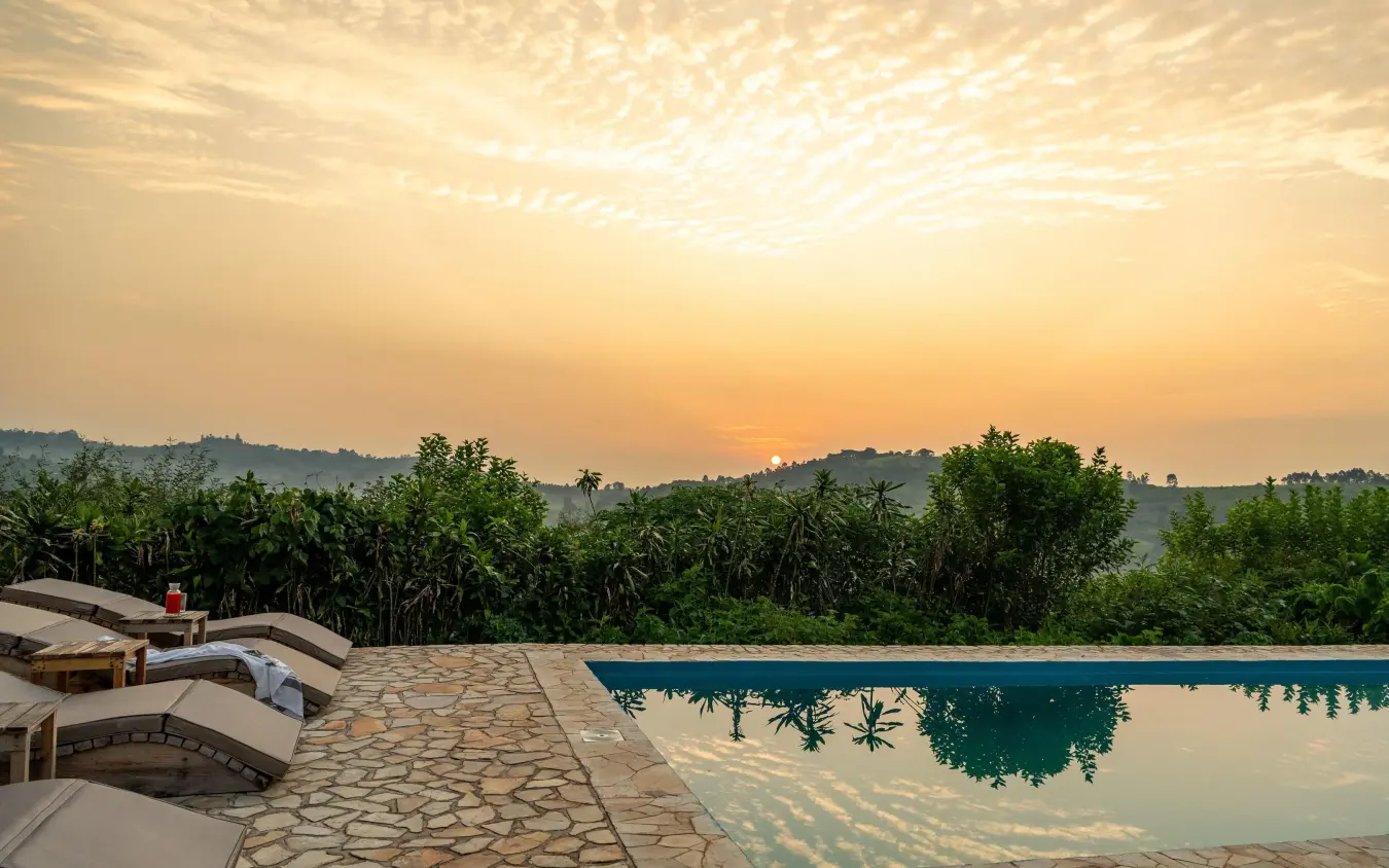 Infinity pool overlooking tropical forest at sunset, Kibale Lodge, Kibale Forest, Uganda