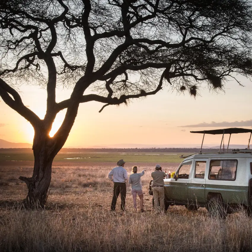 Safari vehicle with guests watching sunset under acacia tree, Tarangire National Park, Tanzania