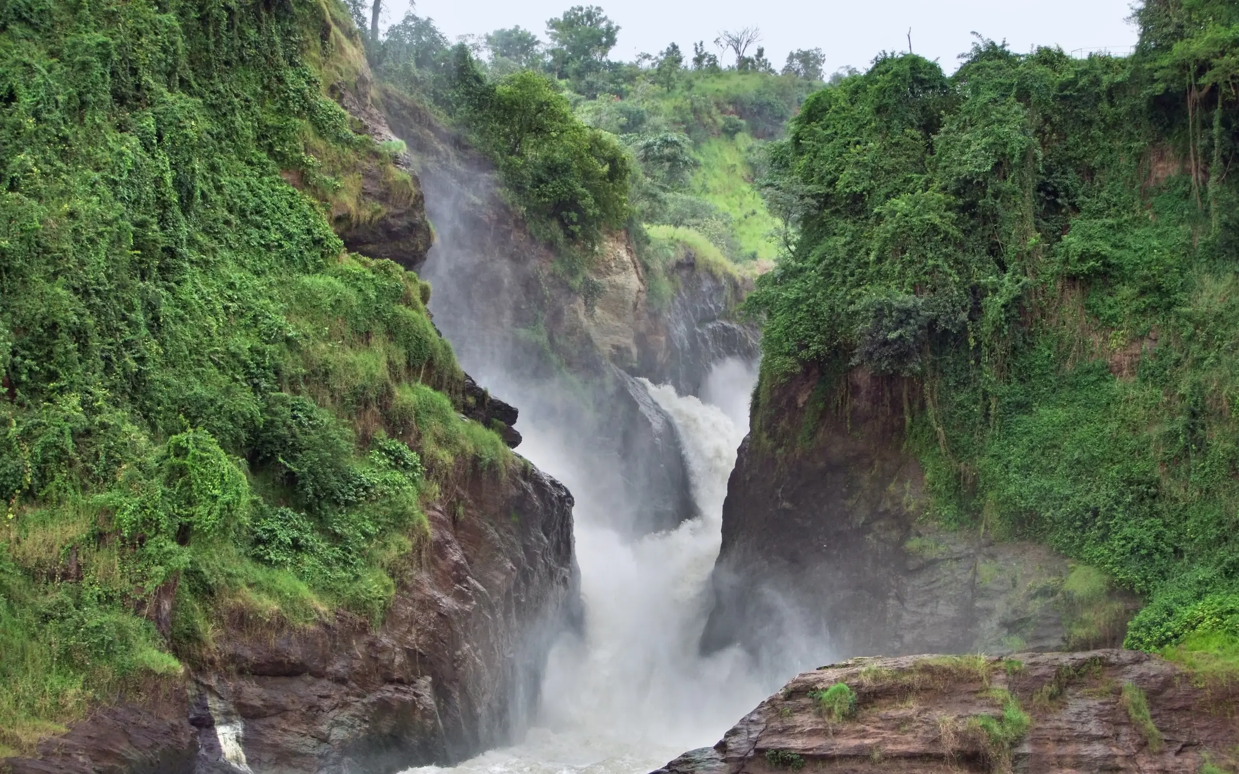 Powerful waterfall cascading through lush green canyon