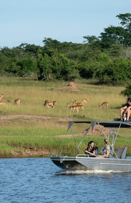Guests on boat observing wildlife in savanna landscape, Akagera National Park, Rwanda