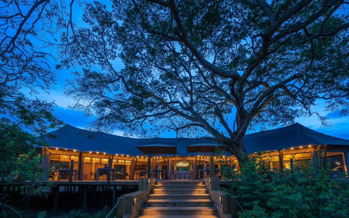 Illuminated lodge pavilion under large acacia tree at dusk, Magashi Camp, Akagera National Park, Rwanda
