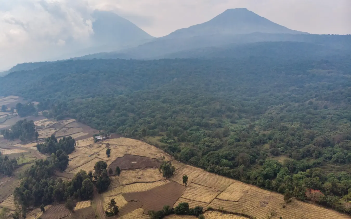Volcanic peaks rising above agricultural fields and forest canopy, Mount Gahinga Lodge, Mgahinga National Park, Uganda