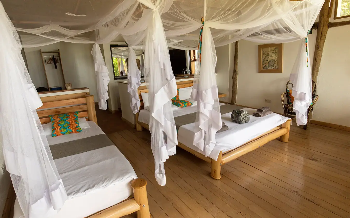 Multiple beds with white mosquito netting in lodge room, Mutanda Lake Resort, Lake Mutanda, Uganda