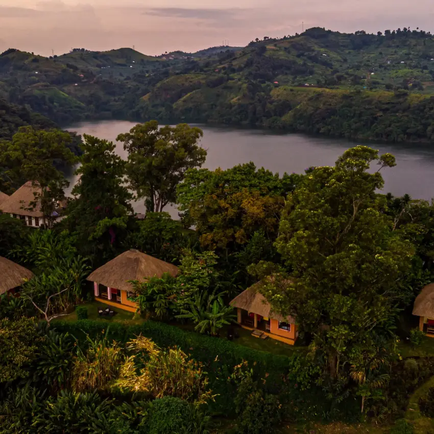 Thatched bungalows nestled among trees overlooking river, Kibale Forest, Uganda