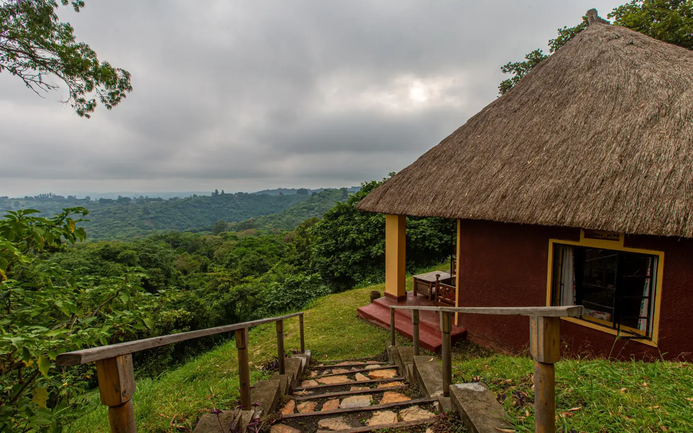 Thatched-roof lodge overlooking forested valley landscape, Ndali Lodge, Kibale Forest, Uganda