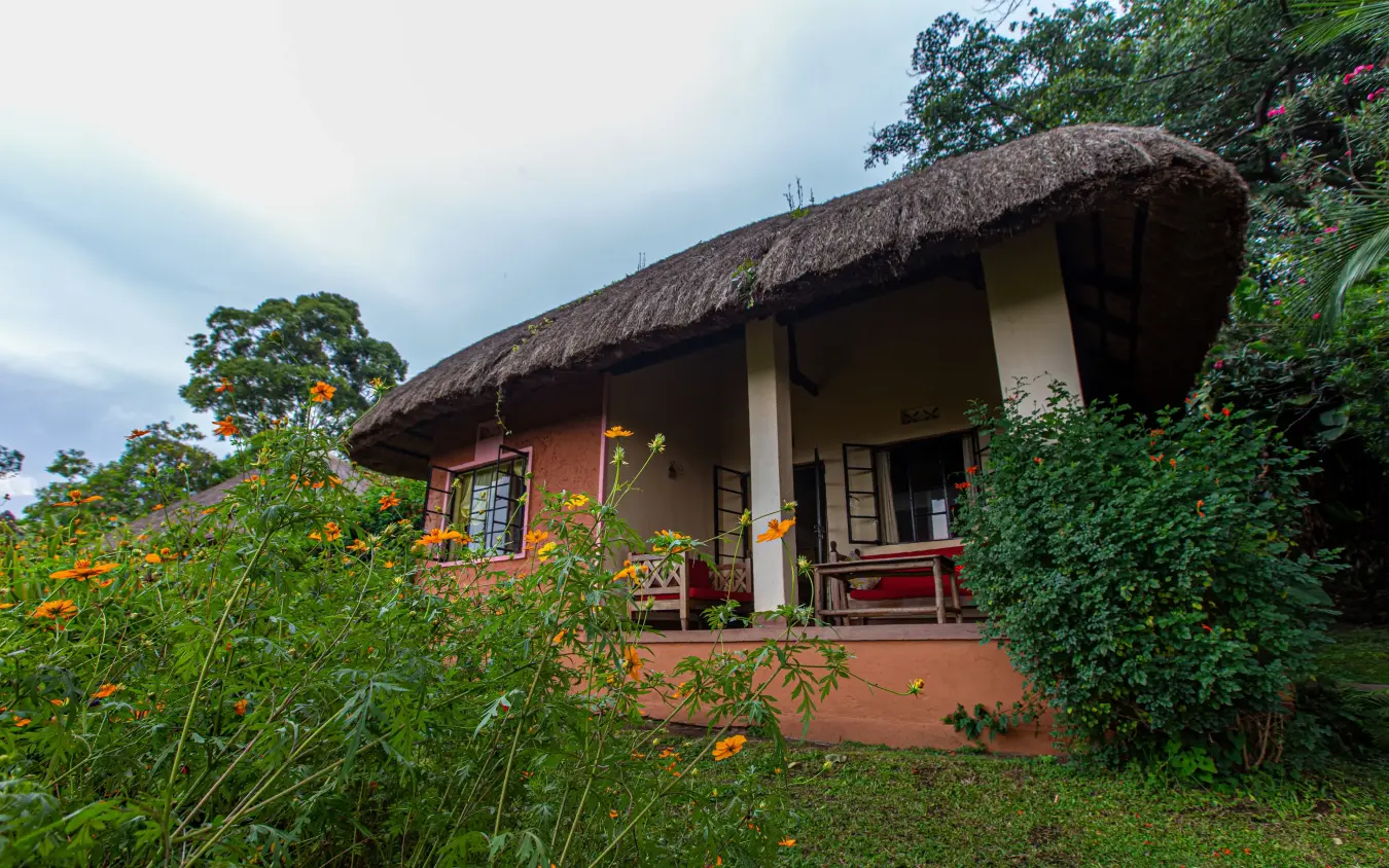 Thatched-roof cottage with flowering garden and lush vegetation, Ndali Lodge, Kibale Forest, Uganda