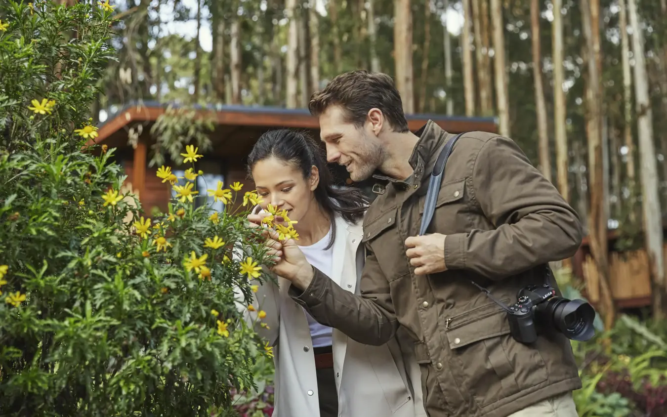 Couple examining yellow flowers during nature walk tour, Gorilla’s Nest, Volcanoes National Park, Rwanda