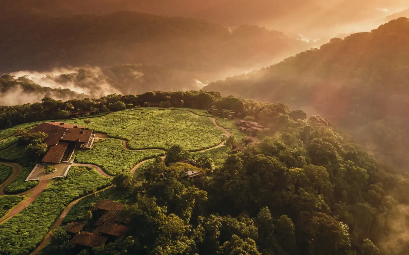 Misty forested hillside with clearings and winding paths, Nyungwe House, Nyungwe Forest, Rwanda