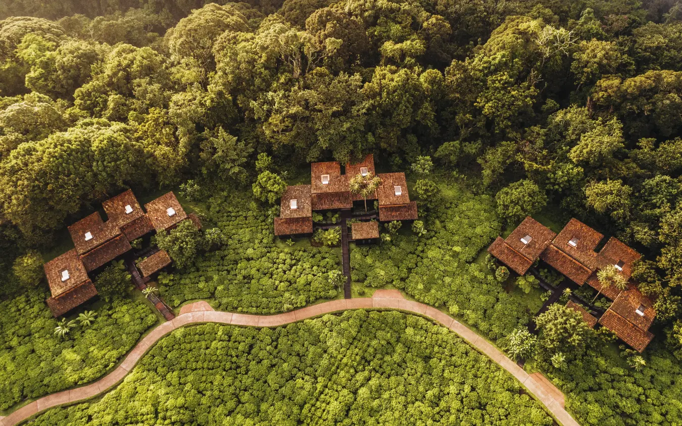 Aerial view of lodge buildings nestled among forest canopy, Nyungwe House, Nyungwe Forest, Rwanda