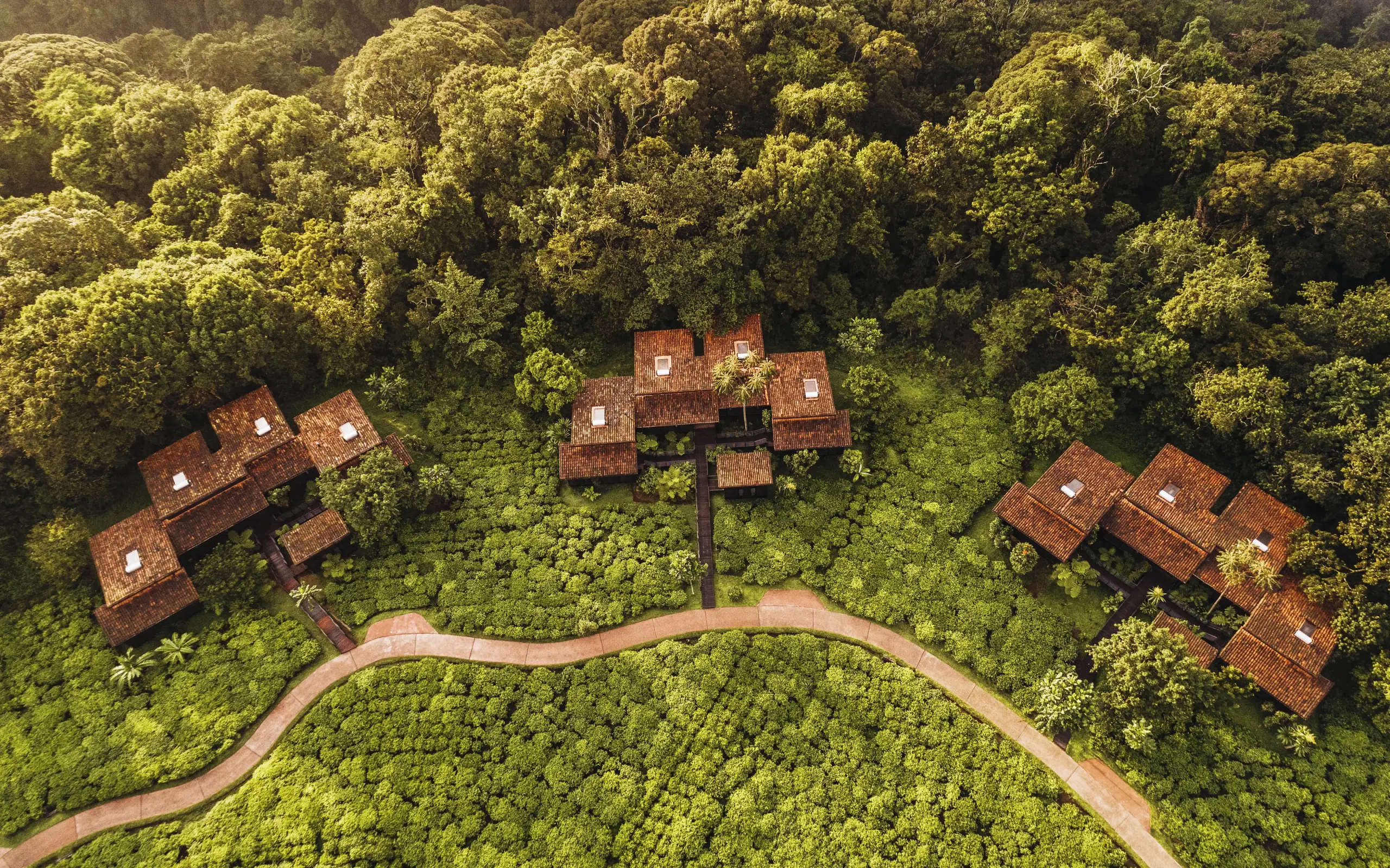 Aerial view of lodge buildings nestled among forest canopy, Nyungwe House, Nyungwe Forest, Rwanda