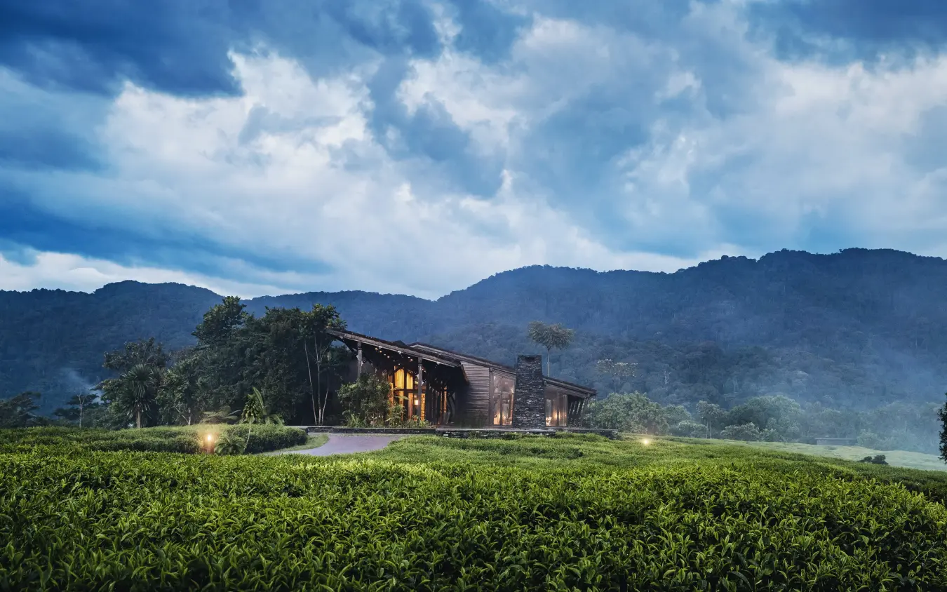Modern lodge building illuminated at dusk in tea plantation valley, Nyungwe House, Nyungwe Forest, Rwanda