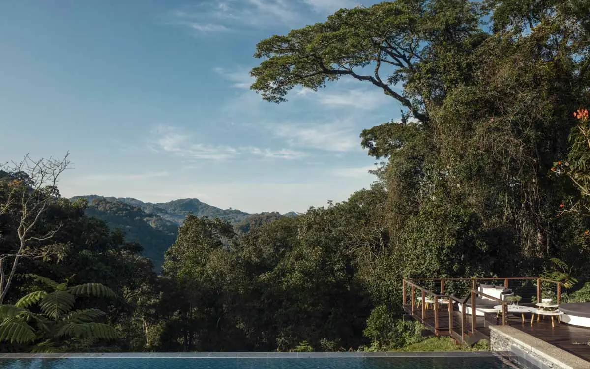 Infinity pool overlooking forested valley and mountains, Nyungwe House, Nyungwe Forest, Rwanda
