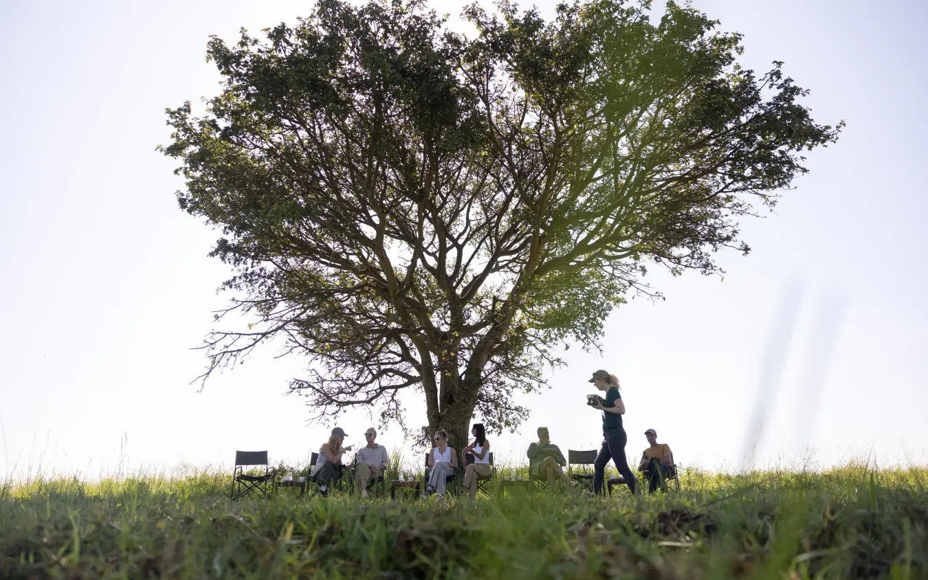 Guests gathering beneath large acacia tree in grassland, Papa’s Camp, Murchison Falls NP, Uganda