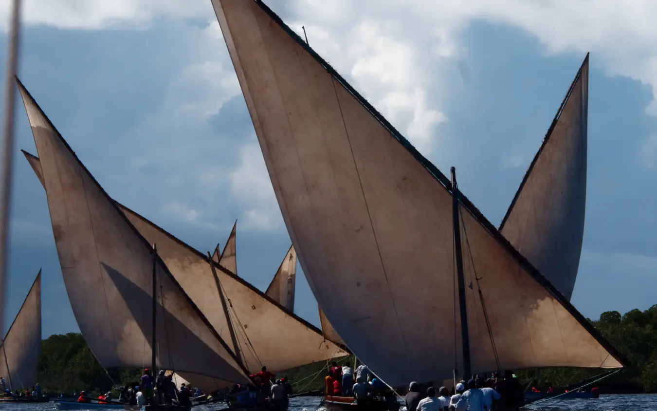 Traditional sailing dhows with large sails on coastal waters, Peponi Hotel, Lamu Archipelago, Kenya