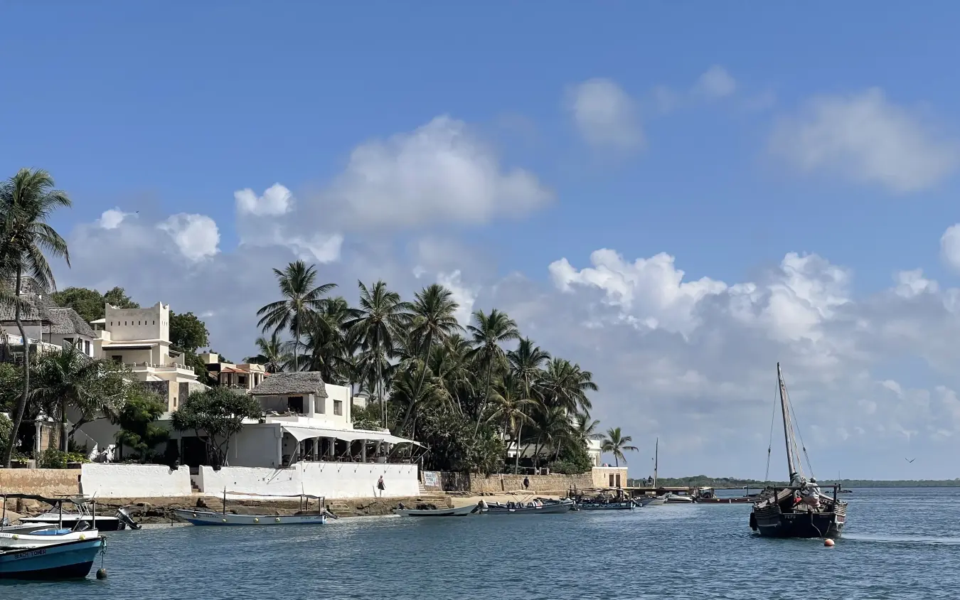 Waterfront lodge with palm trees and traditional sailing boats, Peponi Hotel, Lamu Archipelago, Kenya