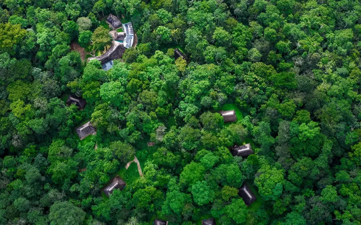 Aerial view of forest lodge with winding pathways through dense trees, Primate Lodge, Kibale Forest, Uganda