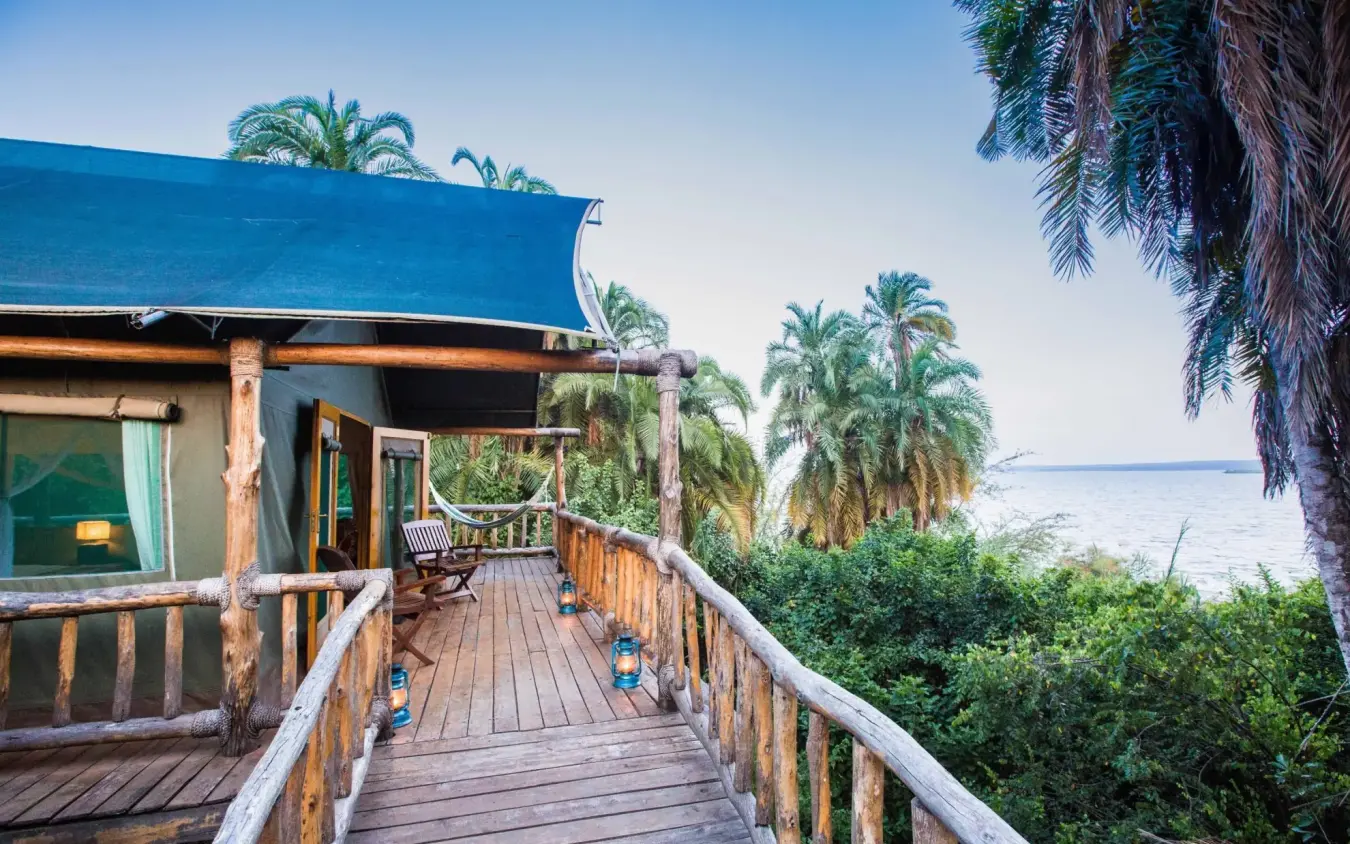 Wooden deck overlooking calm water with palm trees, Ruzizi Tented Lodge, Akagera National Park, Rwanda