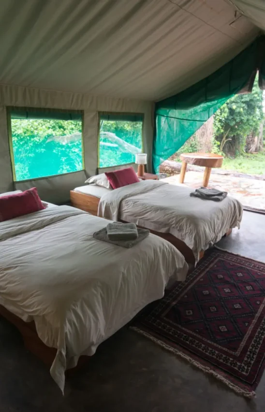 Twin beds in canvas tent with forest views, Ruzizi Tented Lodge, Akagera National Park, Rwanda